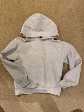 Aritzia Light Gray Pullover Hoodie